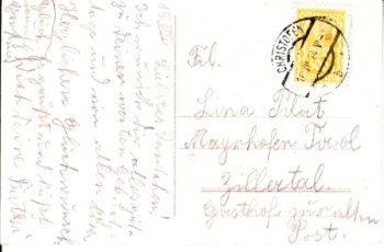 růže 1924 95 001 A ● - Flora